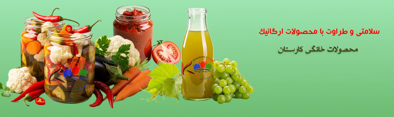 فروشگاه اینترنتی کارستان شاپ